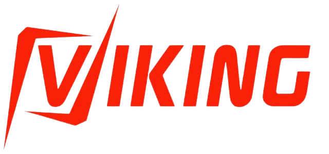 Thiết kế Web Viking chuẩn Seo chuyên nghiệp